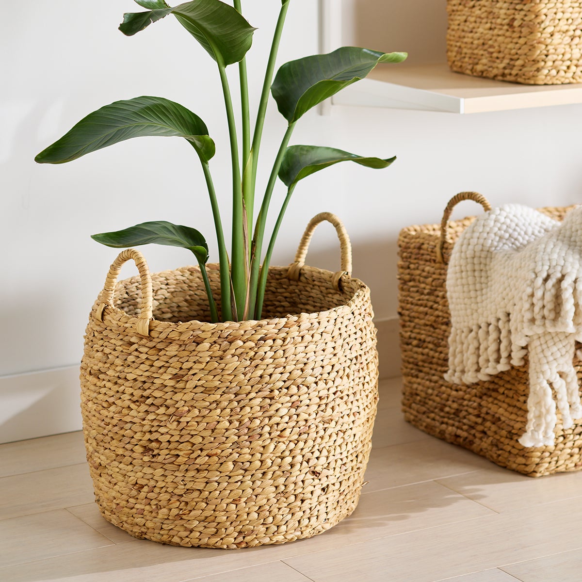 Callan Water Hyacinth Belly Basket — alt view
