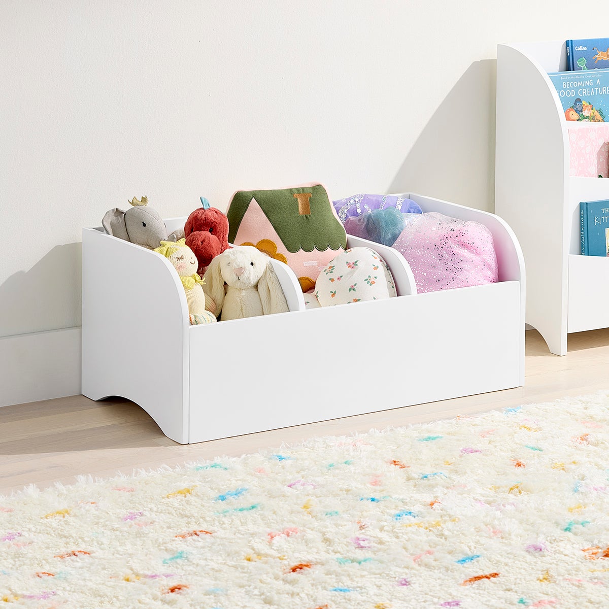 Divided Toy Storage Chest