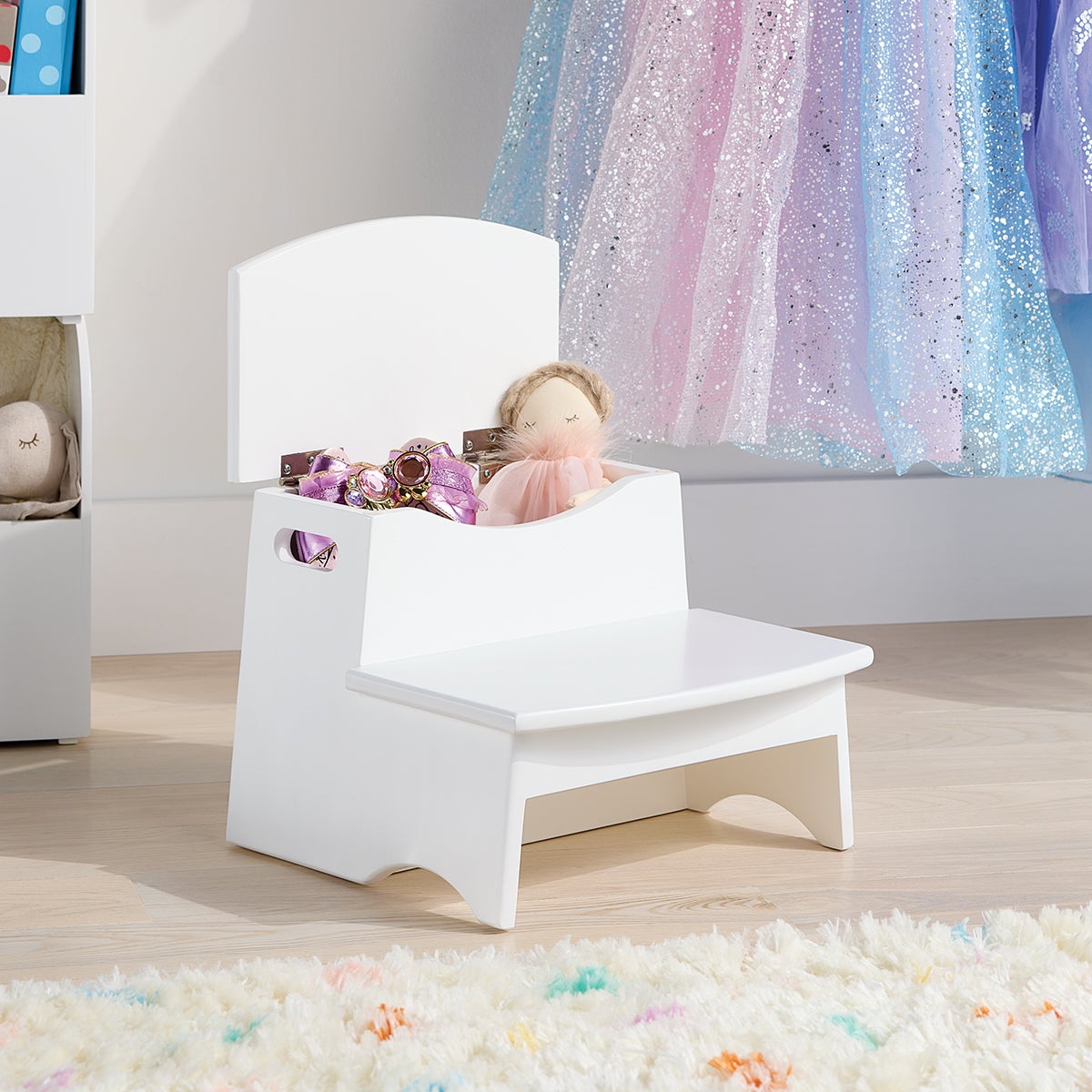 Stepstool with Storage
